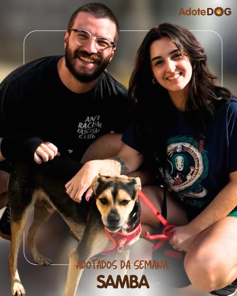 Samba, cão de porte médio, ao lado do casal que o adotou